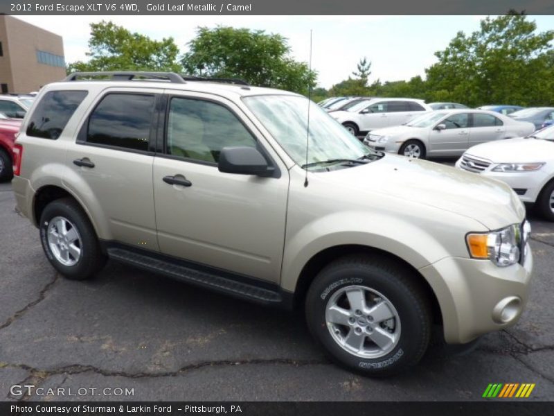  2012 Escape XLT V6 4WD Gold Leaf Metallic