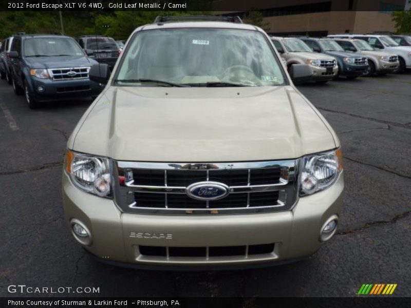  2012 Escape XLT V6 4WD Gold Leaf Metallic