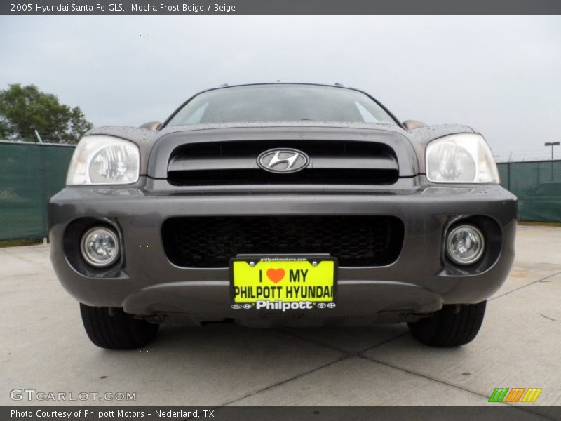 Mocha Frost Beige / Beige 2005 Hyundai Santa Fe GLS