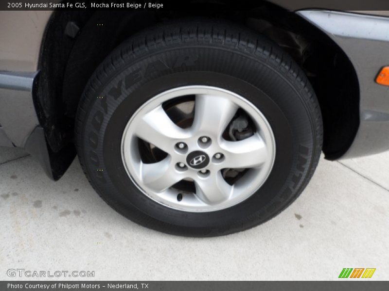 Mocha Frost Beige / Beige 2005 Hyundai Santa Fe GLS