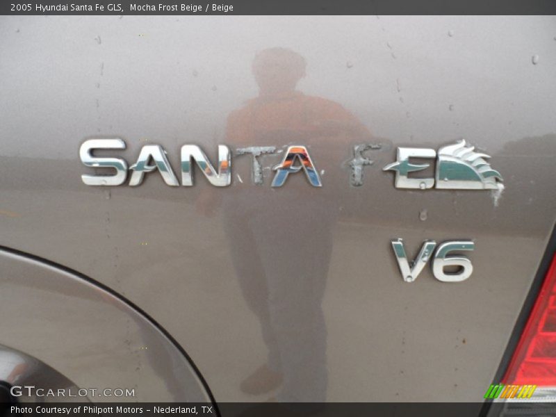 Mocha Frost Beige / Beige 2005 Hyundai Santa Fe GLS