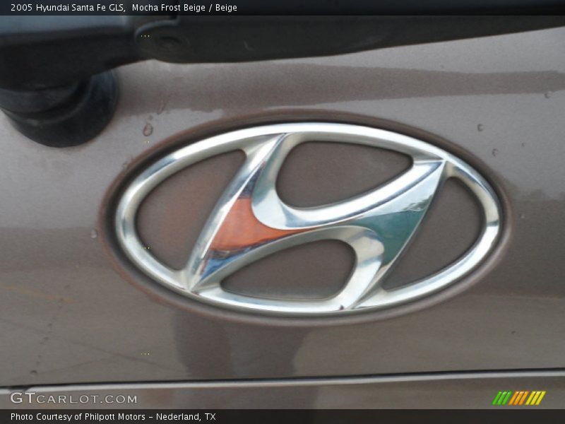 Mocha Frost Beige / Beige 2005 Hyundai Santa Fe GLS