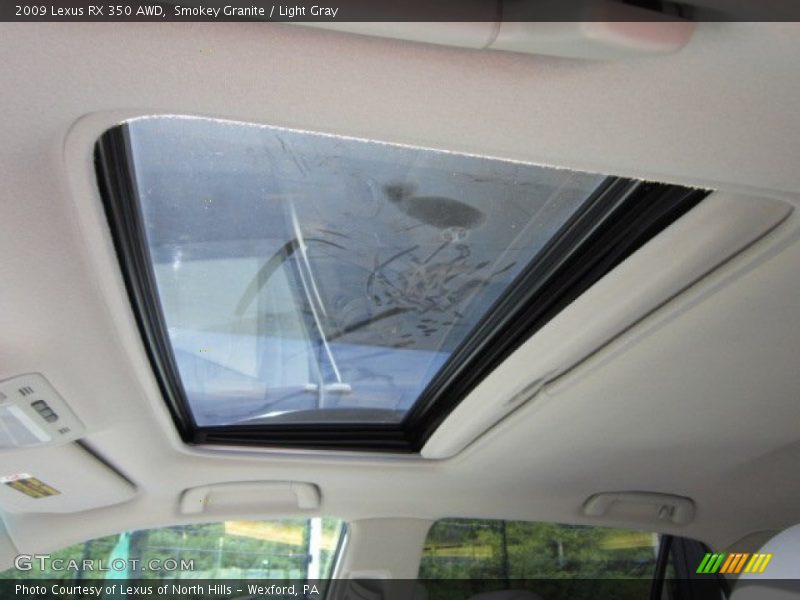 Smokey Granite / Light Gray 2009 Lexus RX 350 AWD