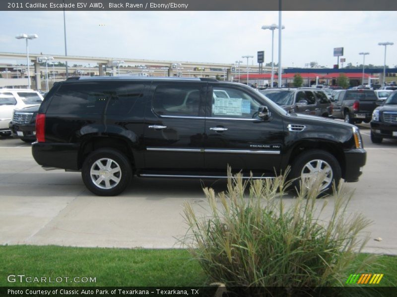 Black Raven / Ebony/Ebony 2011 Cadillac Escalade ESV AWD