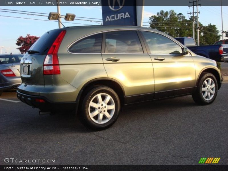 Green Tea Metallic / Ivory 2009 Honda CR-V EX-L 4WD