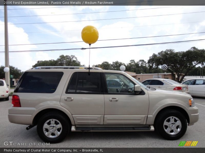 Pueblo Gold Metallic / Medium Parchment 2006 Ford Expedition Limited