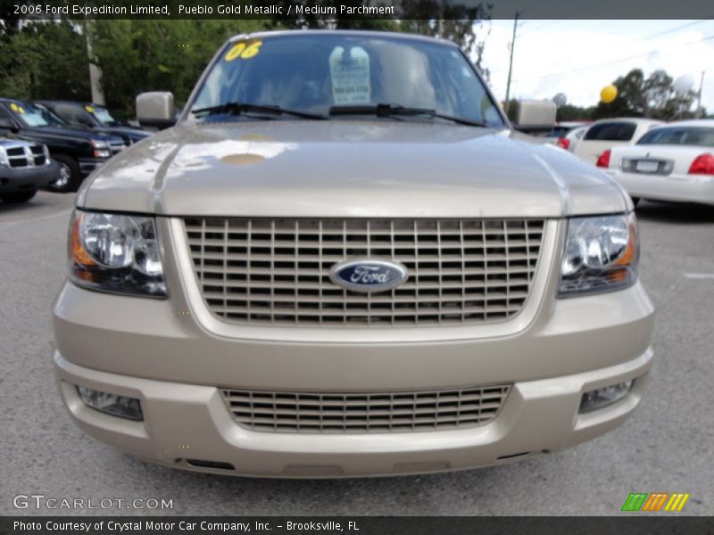 Pueblo Gold Metallic / Medium Parchment 2006 Ford Expedition Limited