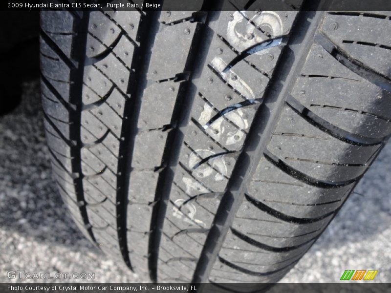 Purple Rain / Beige 2009 Hyundai Elantra GLS Sedan
