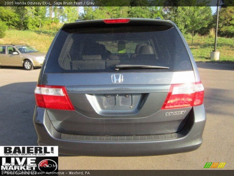 Sage Brush Pearl / Gray 2005 Honda Odyssey EX-L