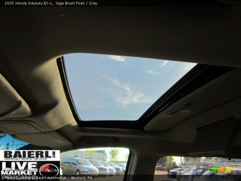Sage Brush Pearl / Gray 2005 Honda Odyssey EX-L