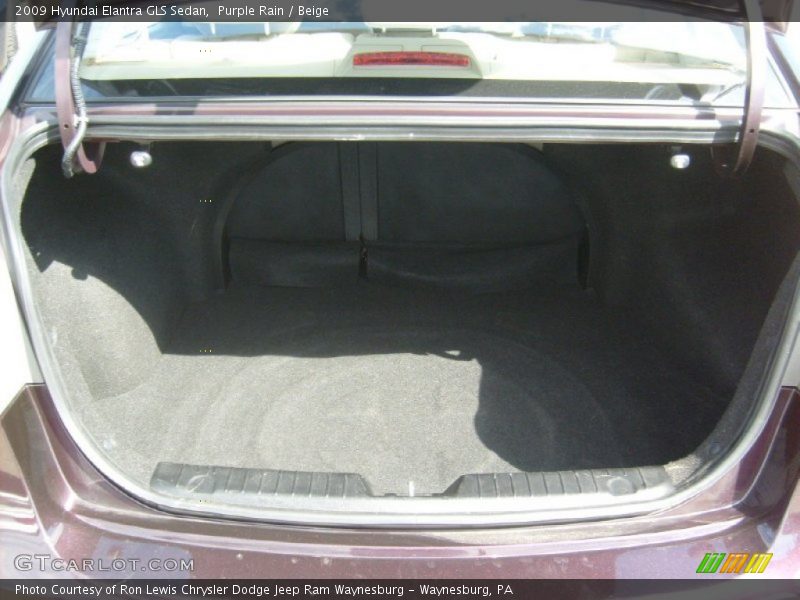 Purple Rain / Beige 2009 Hyundai Elantra GLS Sedan