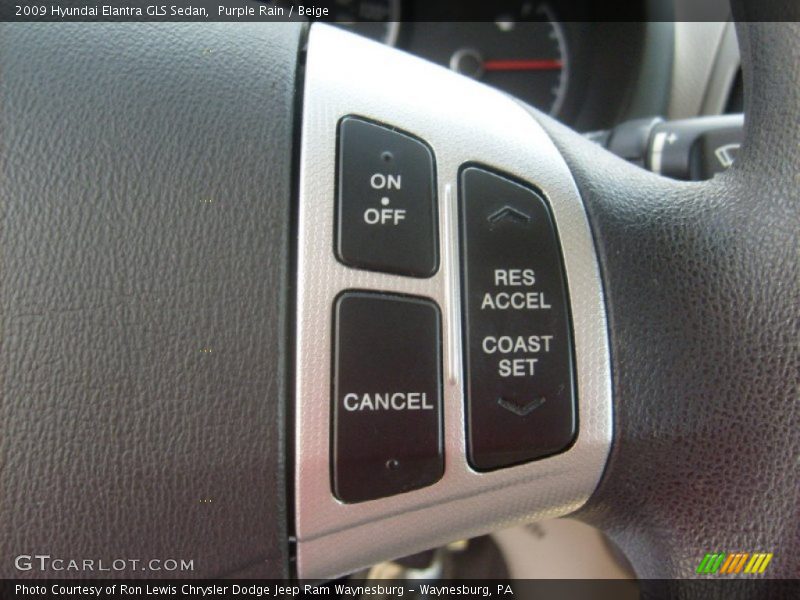 Purple Rain / Beige 2009 Hyundai Elantra GLS Sedan