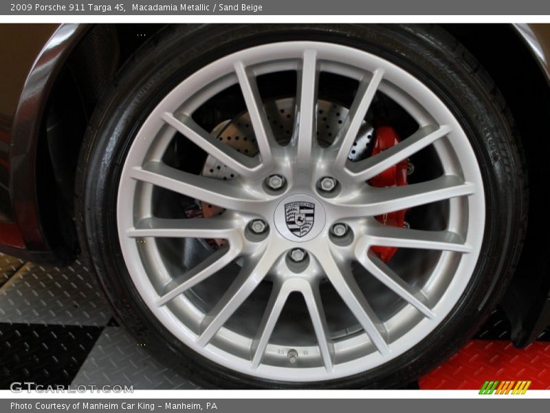  2009 911 Targa 4S Wheel