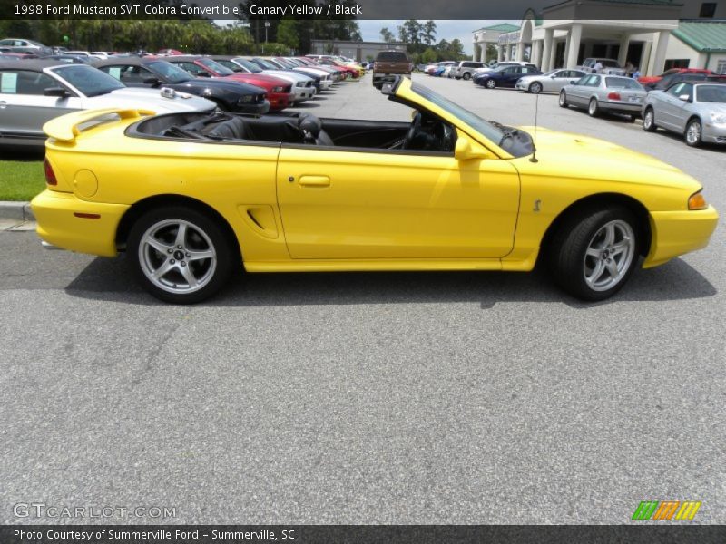  1998 Mustang SVT Cobra Convertible Canary Yellow