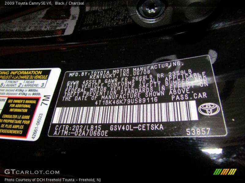 Black / Charcoal 2009 Toyota Camry SE V6