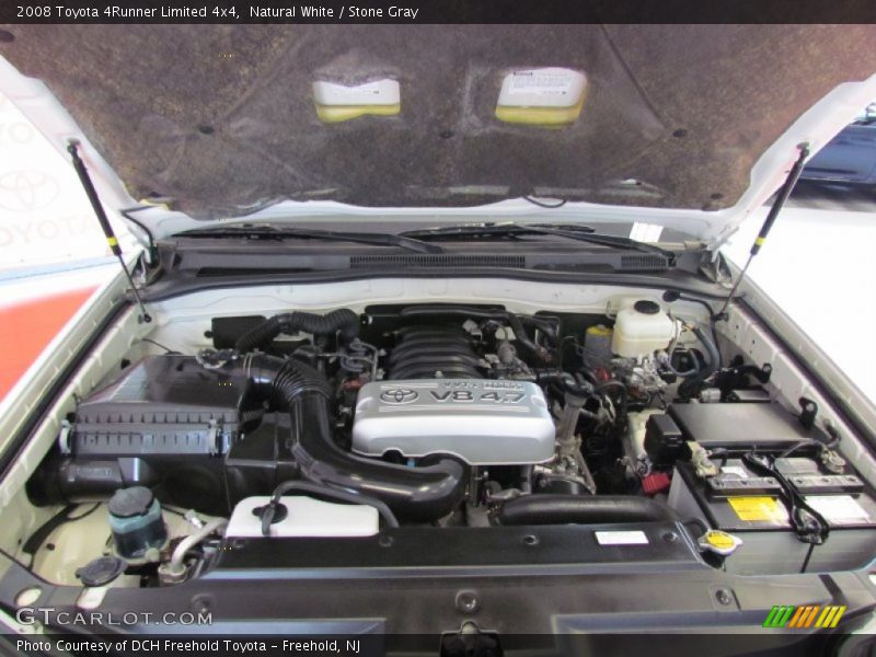 Natural White / Stone Gray 2008 Toyota 4Runner Limited 4x4