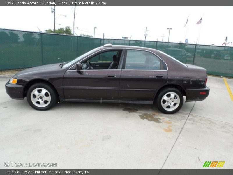  1997 Accord SE Sedan Black Currant Metallic
