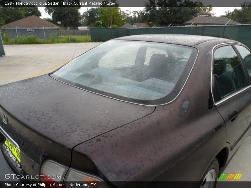 Black Currant Metallic / Gray 1997 Honda Accord SE Sedan