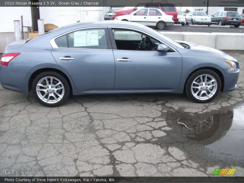 Ocean Gray / Charcoal 2010 Nissan Maxima 3.5 SV
