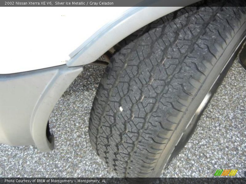 Silver Ice Metallic / Gray Celadon 2002 Nissan Xterra XE V6