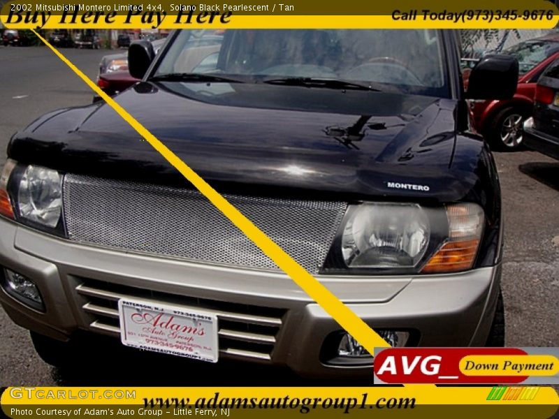 Solano Black Pearlescent / Tan 2002 Mitsubishi Montero Limited 4x4