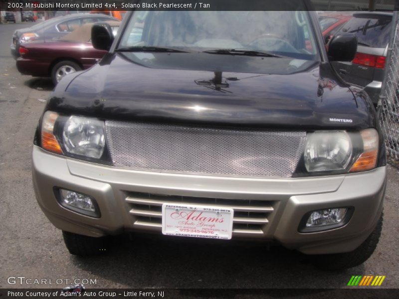 Solano Black Pearlescent / Tan 2002 Mitsubishi Montero Limited 4x4