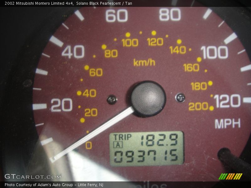 Solano Black Pearlescent / Tan 2002 Mitsubishi Montero Limited 4x4