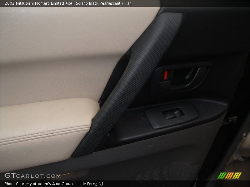 Solano Black Pearlescent / Tan 2002 Mitsubishi Montero Limited 4x4