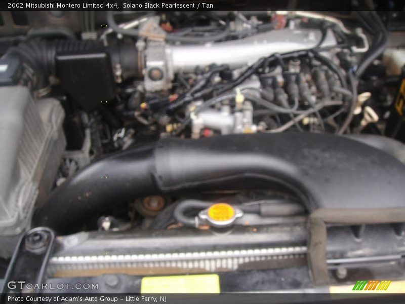 Solano Black Pearlescent / Tan 2002 Mitsubishi Montero Limited 4x4