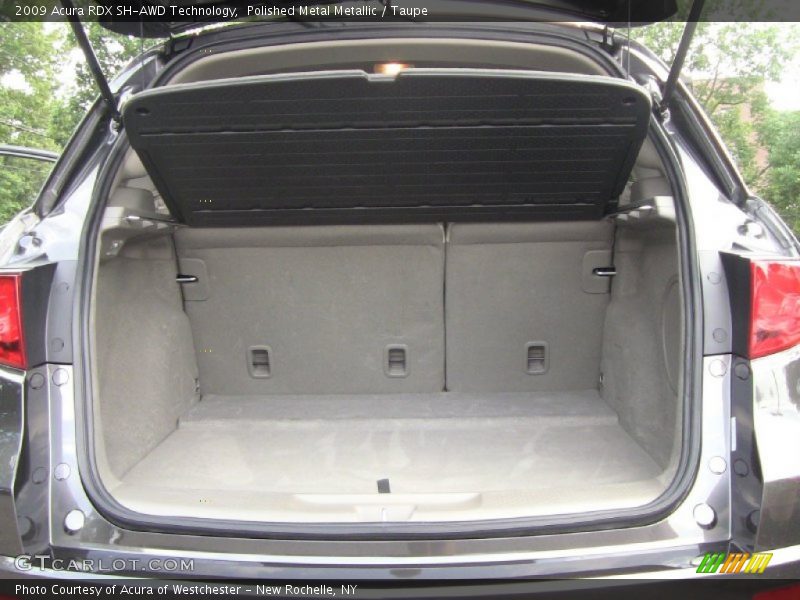 Polished Metal Metallic / Taupe 2009 Acura RDX SH-AWD Technology