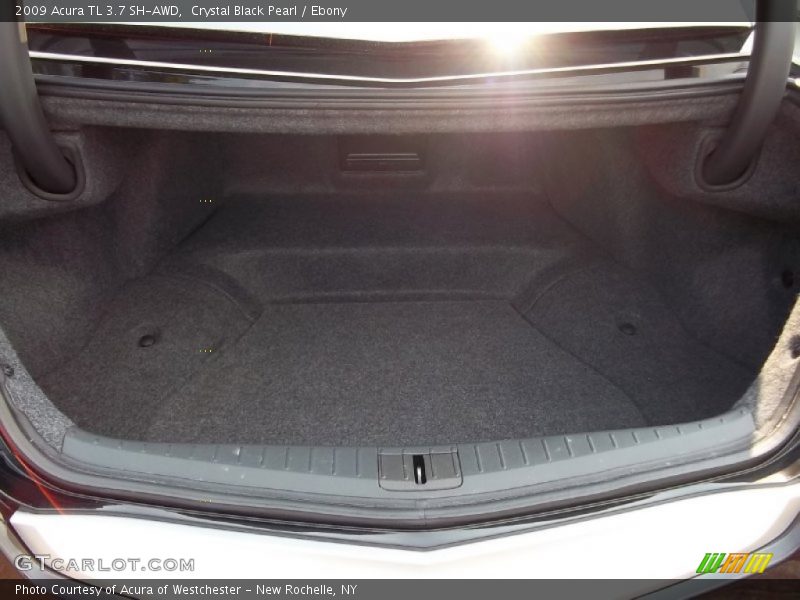 Crystal Black Pearl / Ebony 2009 Acura TL 3.7 SH-AWD