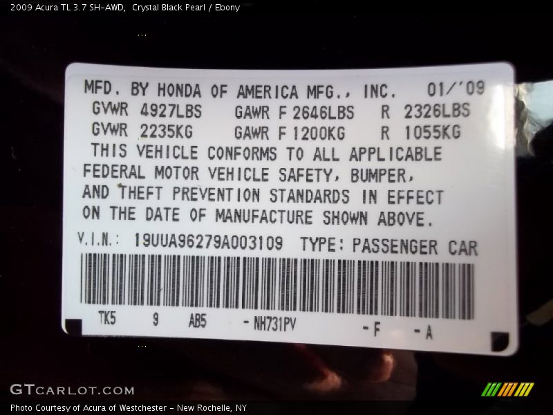 2009 TL 3.7 SH-AWD Crystal Black Pearl Color Code NH731PV