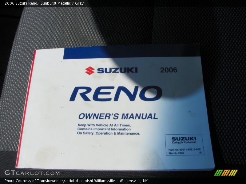 Sunburst Metallic / Gray 2006 Suzuki Reno