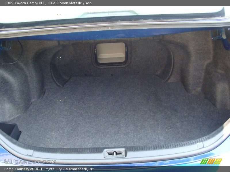 Blue Ribbon Metallic / Ash 2009 Toyota Camry XLE