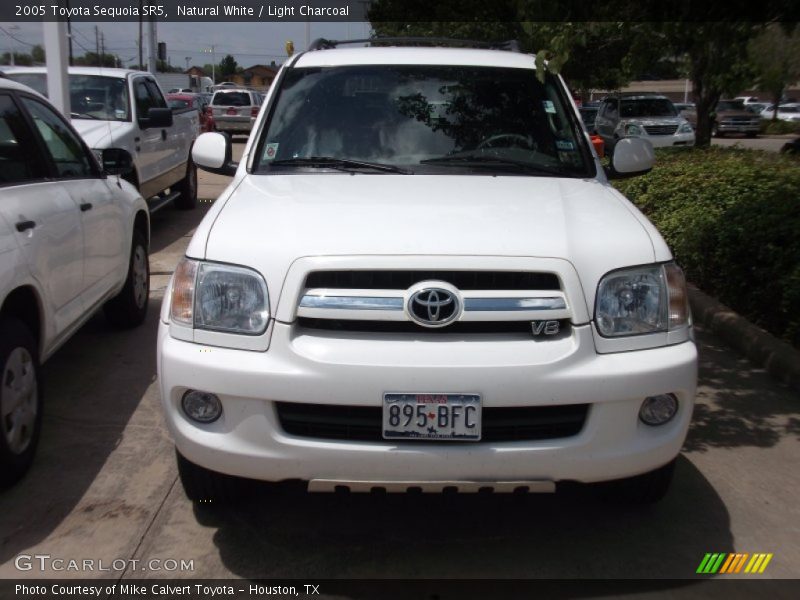 Natural White / Light Charcoal 2005 Toyota Sequoia SR5