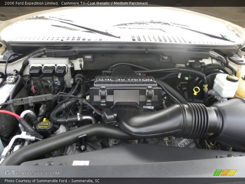 Cashmere Tri-Coat Metallic / Medium Parchment 2006 Ford Expedition Limited