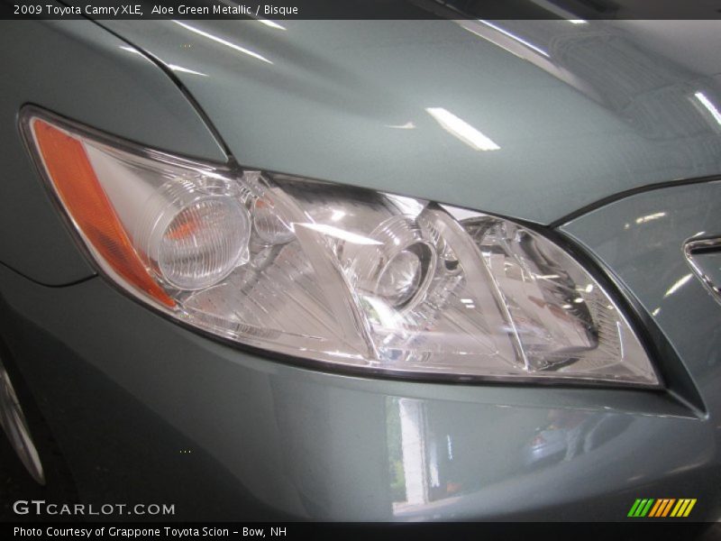 Aloe Green Metallic / Bisque 2009 Toyota Camry XLE