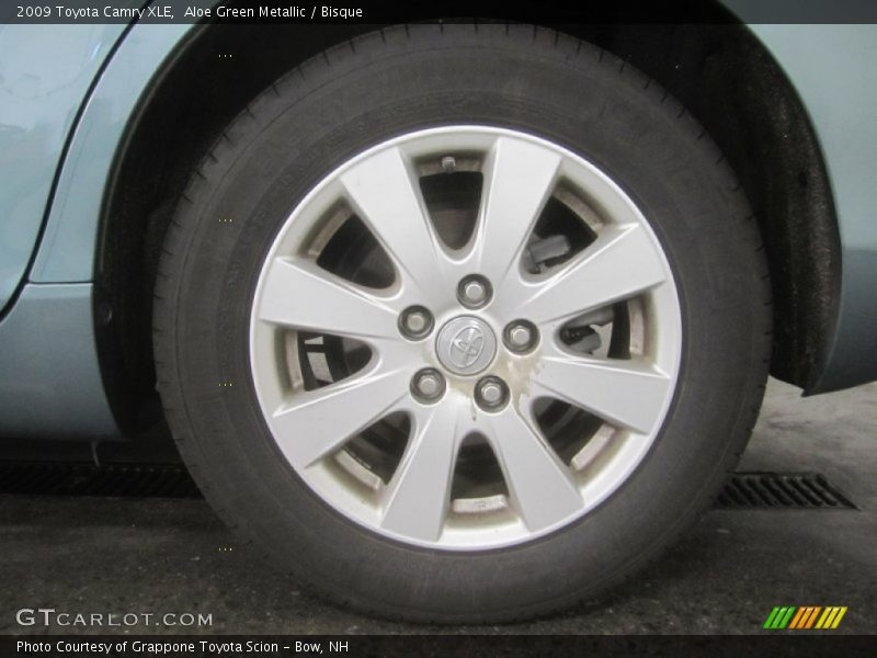 Aloe Green Metallic / Bisque 2009 Toyota Camry XLE
