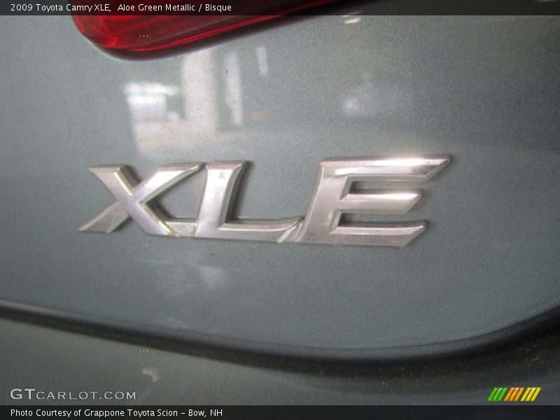 Aloe Green Metallic / Bisque 2009 Toyota Camry XLE