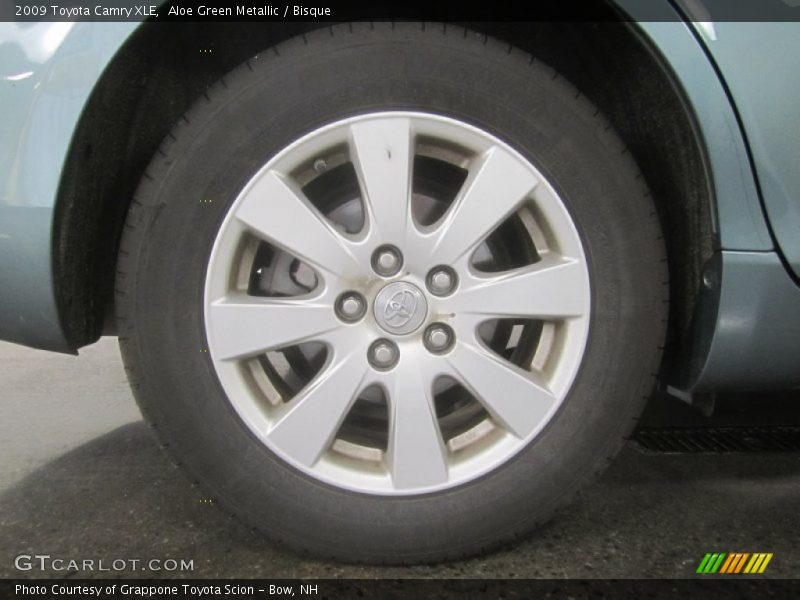 Aloe Green Metallic / Bisque 2009 Toyota Camry XLE