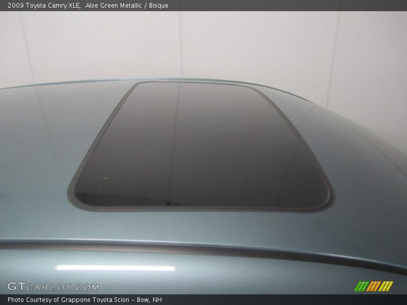 Aloe Green Metallic / Bisque 2009 Toyota Camry XLE