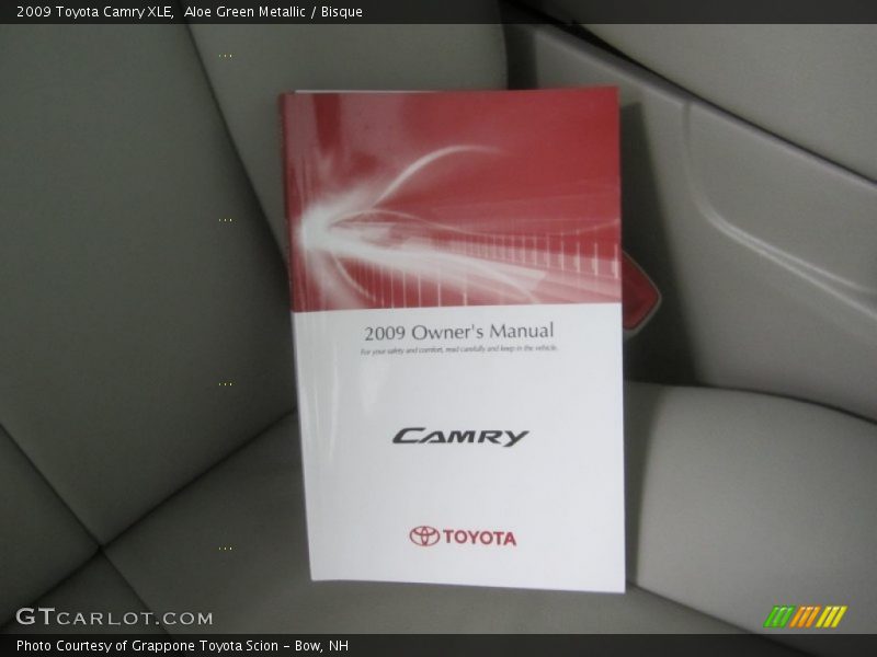 Aloe Green Metallic / Bisque 2009 Toyota Camry XLE