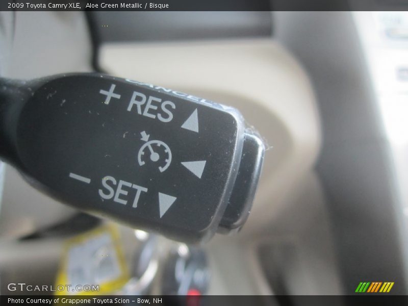 Aloe Green Metallic / Bisque 2009 Toyota Camry XLE