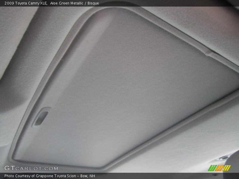 Aloe Green Metallic / Bisque 2009 Toyota Camry XLE