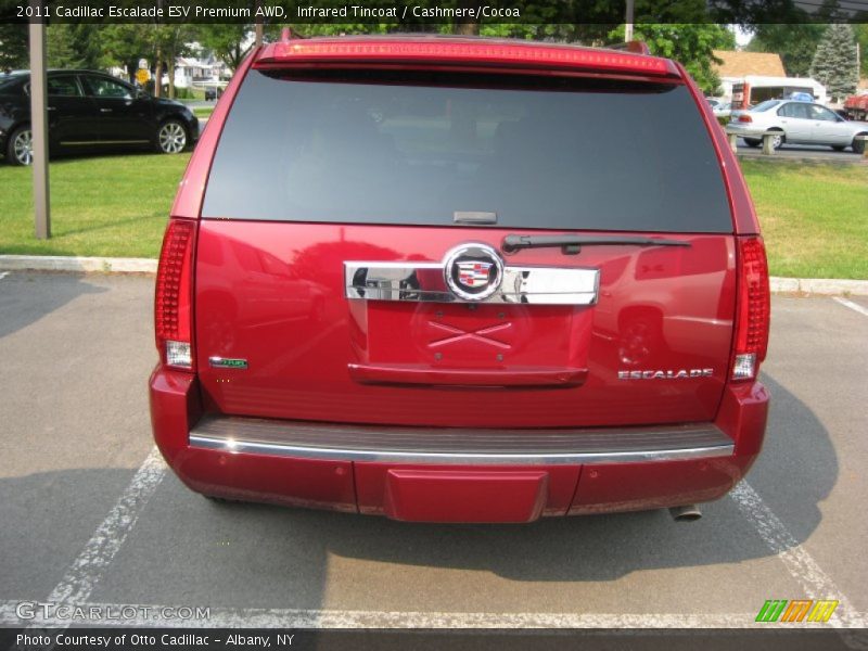 Infrared Tincoat / Cashmere/Cocoa 2011 Cadillac Escalade ESV Premium AWD