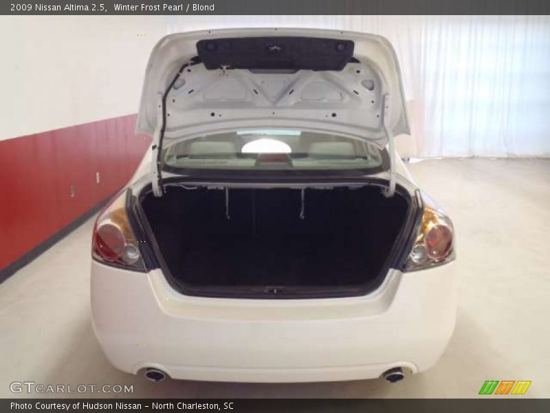 Winter Frost Pearl / Blond 2009 Nissan Altima 2.5