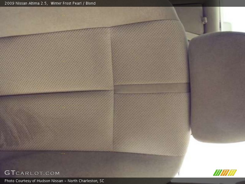 Winter Frost Pearl / Blond 2009 Nissan Altima 2.5