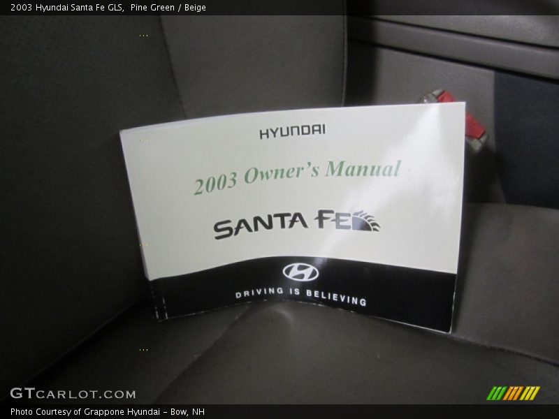 Pine Green / Beige 2003 Hyundai Santa Fe GLS
