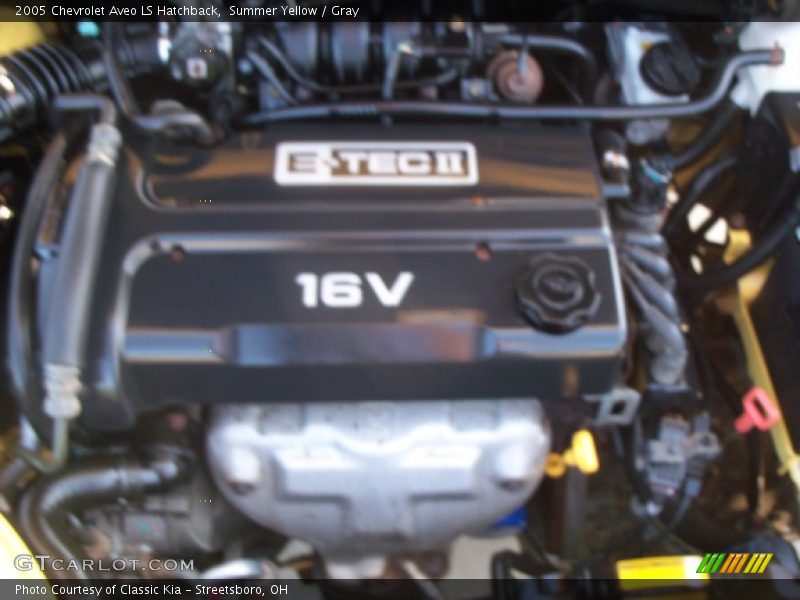 Summer Yellow / Gray 2005 Chevrolet Aveo LS Hatchback