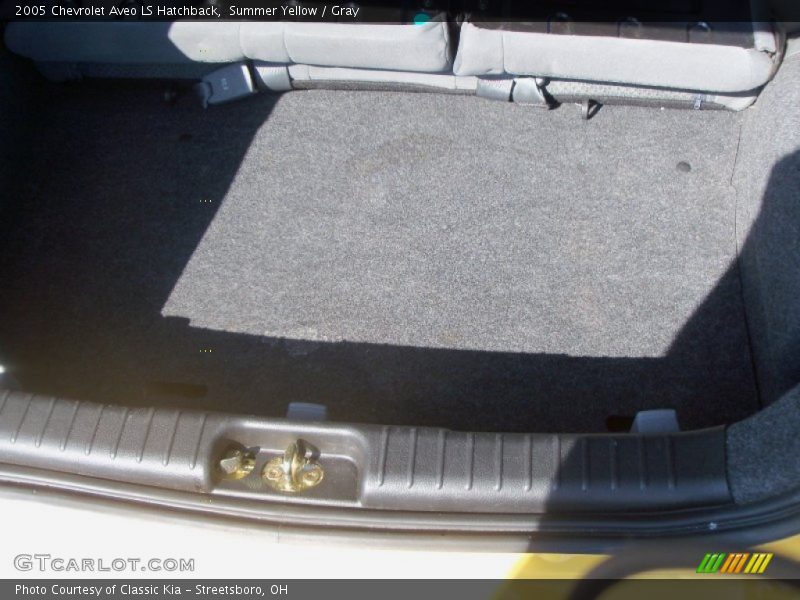 Summer Yellow / Gray 2005 Chevrolet Aveo LS Hatchback